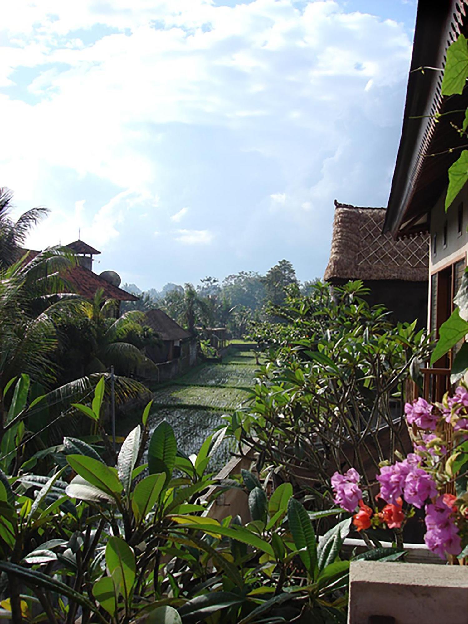 Villa Puriartha Ubud - Chse Certified Eksteriør billede